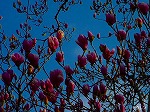 20070309 05.jpg
